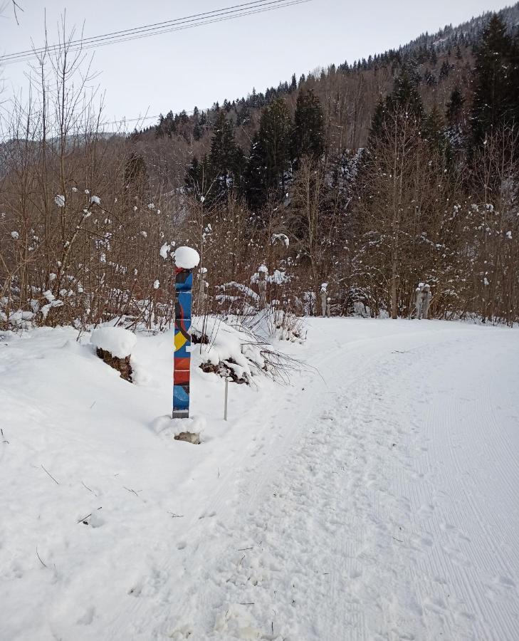 Casa Steilalva - Grosszuegiges Chalet Fuer Erholsamen Familienurlaub Surrein Luaran gambar