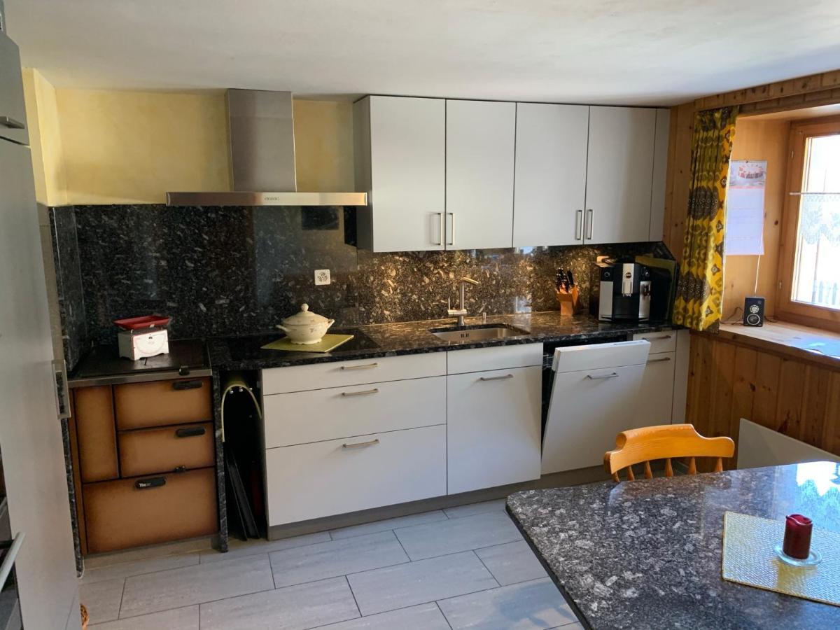 Casa Steilalva - Grosszuegiges Chalet Fuer Erholsamen Familienurlaub Surrein Luaran gambar